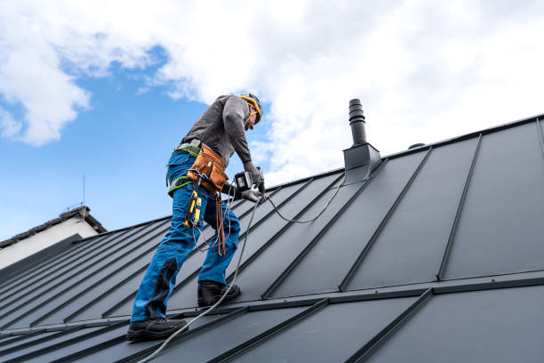 Best Roof Ventilation Installation  in Lipatria, CA